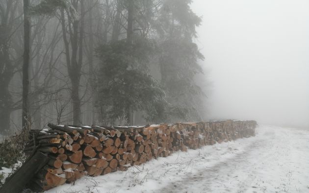 Pile de bois en lisière forestière sous la neige