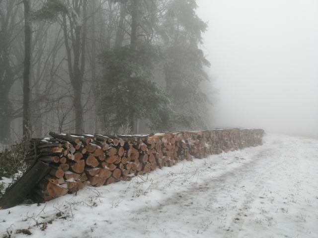 Pile de bois en lisière forestière sous la neige