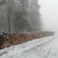 Pile de bois en lisière forestière sous la neige