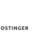 Logo Hostinger